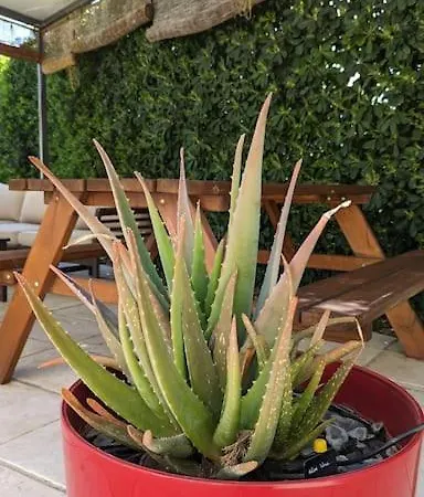 Maison De Vacances Au Soleil Proche Plages *